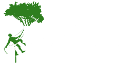 Tree Surgery Beaconsfield from Majestic Tree Care Ltd Logo